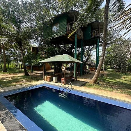 Hotel Yala Eco Tree House New Tissamaharama Zewnętrze zdjęcie