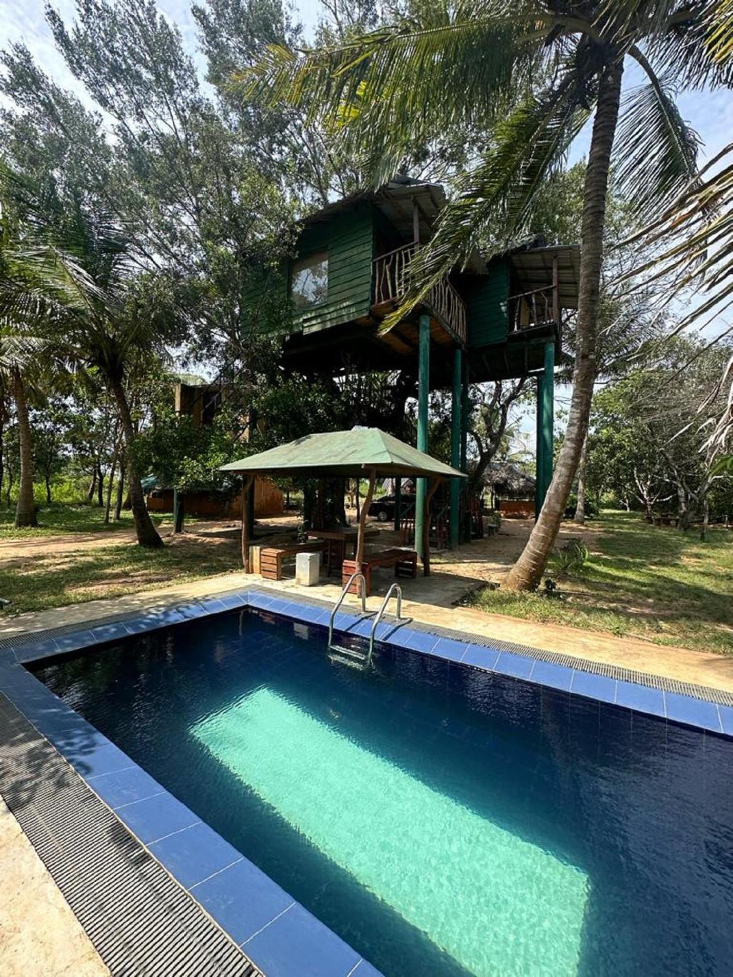 Hotel Yala Eco Tree House New Tissamaharama Zewnętrze zdjęcie