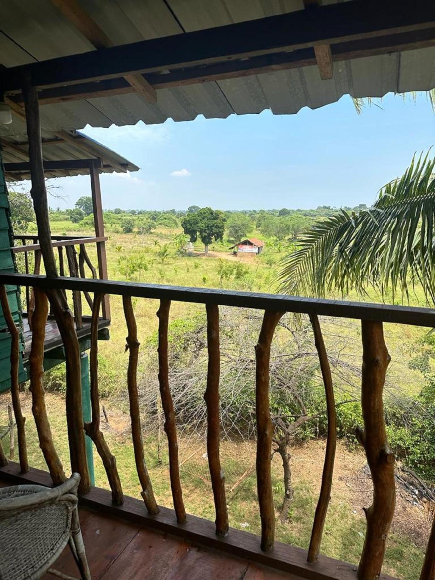 Hotel Yala Eco Tree House New Tissamaharama Zewnętrze zdjęcie