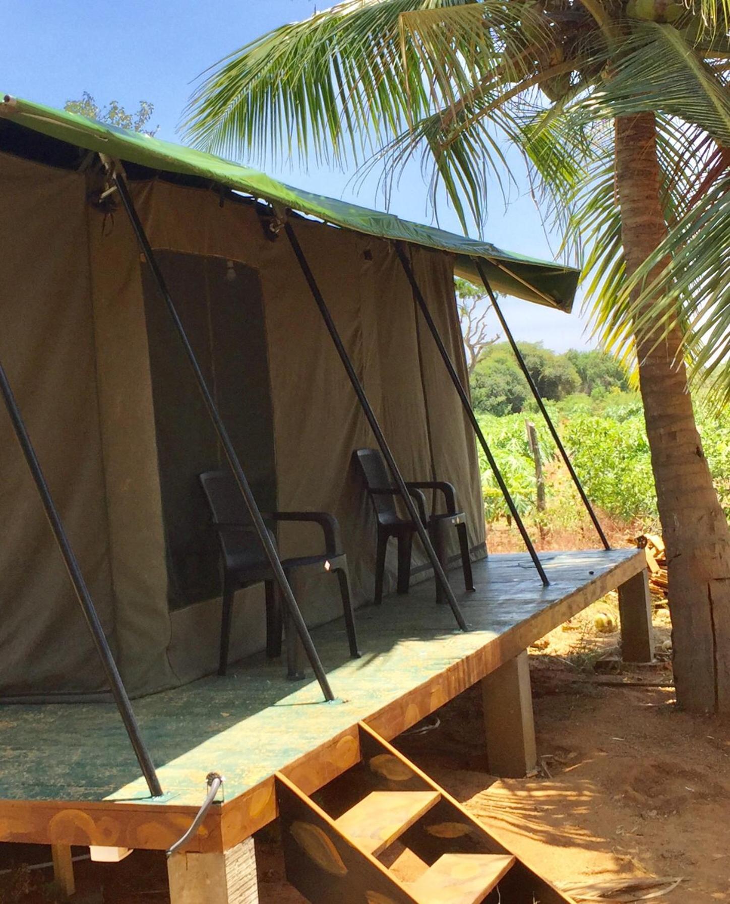 Hotel Yala Eco Tree House New Tissamaharama Zewnętrze zdjęcie