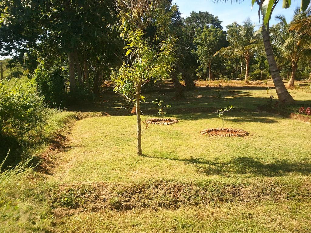 Hotel Yala Eco Tree House New Tissamaharama Zewnętrze zdjęcie