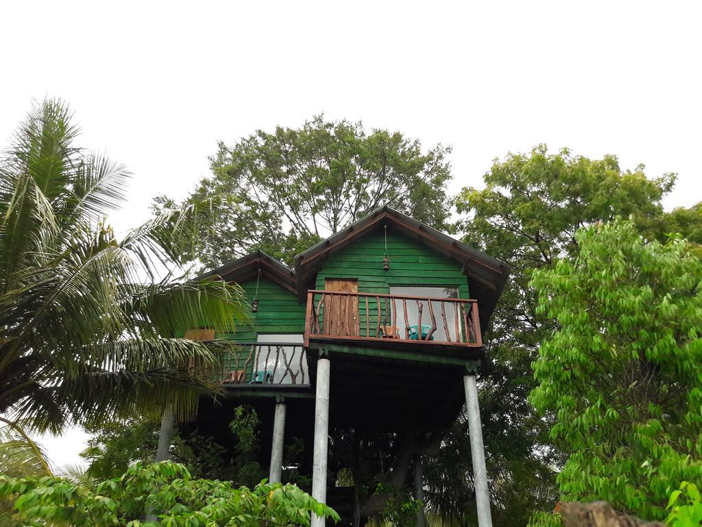 Hotel Yala Eco Tree House New Tissamaharama Zewnętrze zdjęcie