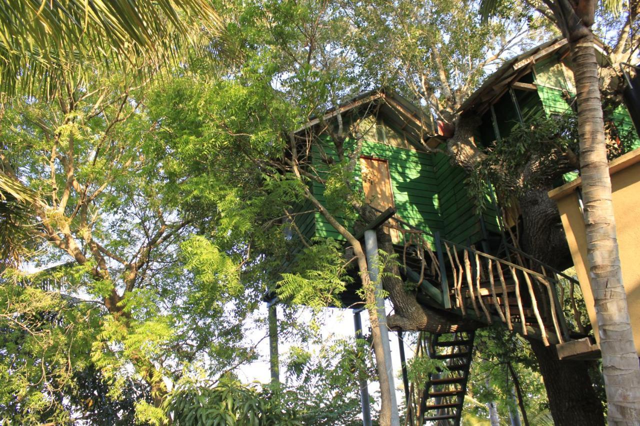 Hotel Yala Eco Tree House New Tissamaharama Zewnętrze zdjęcie