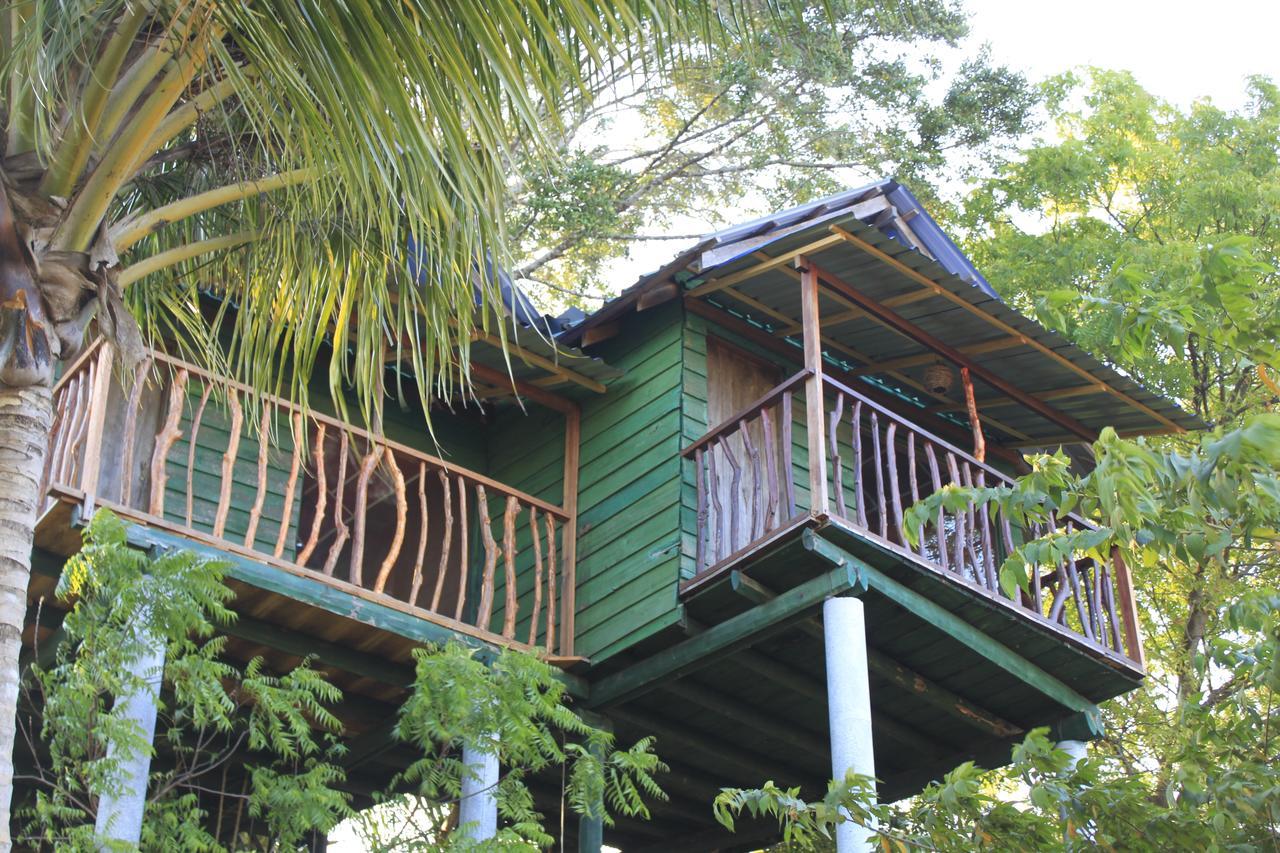 Hotel Yala Eco Tree House New Tissamaharama Zewnętrze zdjęcie