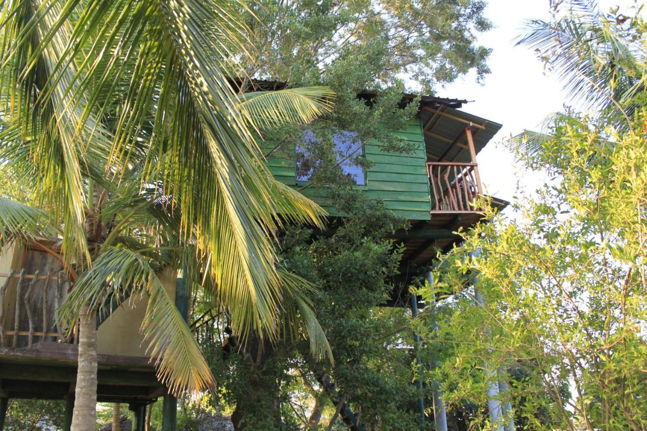 Hotel Yala Eco Tree House New Tissamaharama Zewnętrze zdjęcie