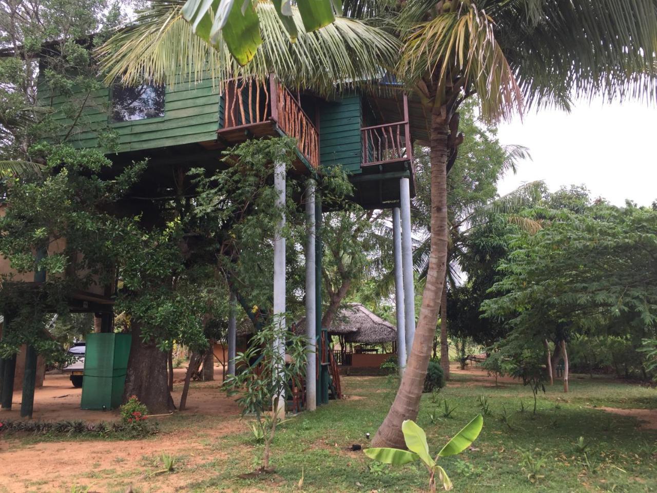 Hotel Yala Eco Tree House New Tissamaharama Zewnętrze zdjęcie