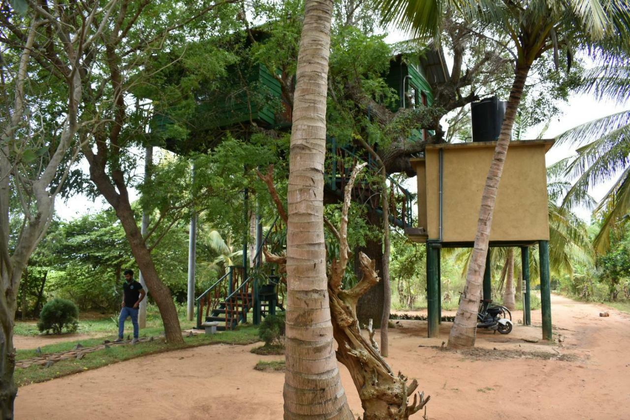 Hotel Yala Eco Tree House New Tissamaharama Zewnętrze zdjęcie