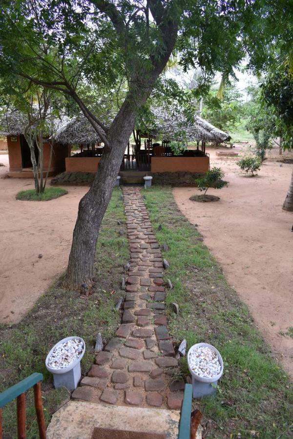 Hotel Yala Eco Tree House New Tissamaharama Zewnętrze zdjęcie